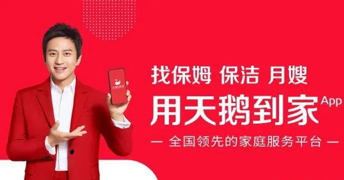3年烧光20亿，这只天鹅做起了IPO美梦